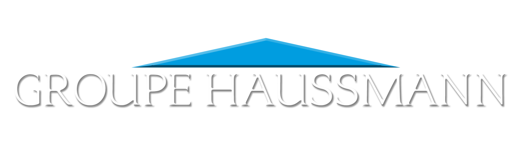 logo haussemann-logo